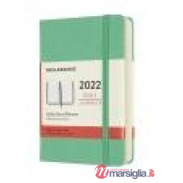 12 months, daily. Pocket, hard cover, ice green