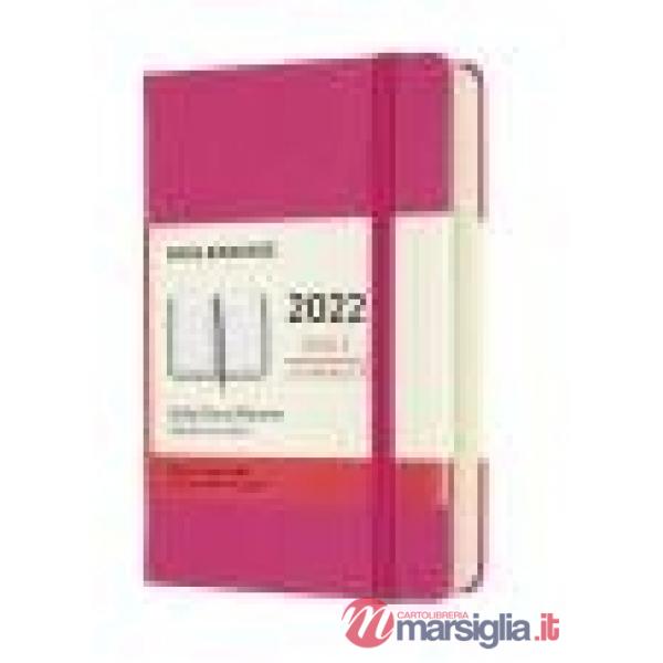 12 months, daily. Pocket, hard cover, bougainvillea pink