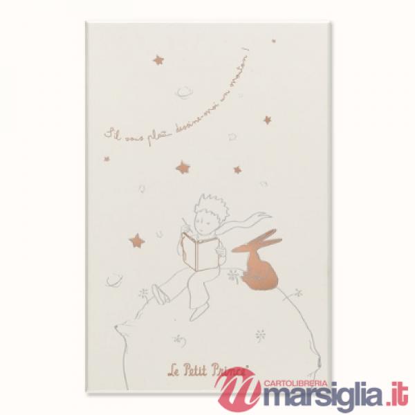 Plan and notebook Le petit prince 2023.
