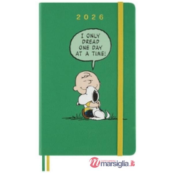 12 months, daily, Peanuts. Large, Charlie & Snoopy