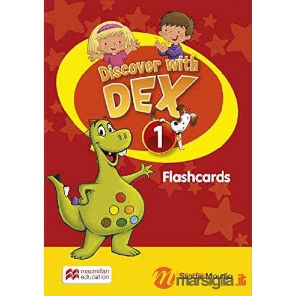 DEX LEVEL 1 FLASHCARDS