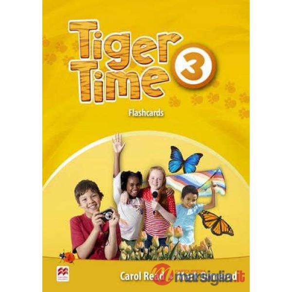 TIGER TIME LEVEL 3 FLASHCARDS