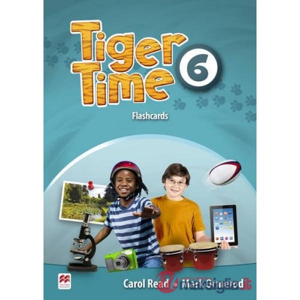 TIGER TIME LEVEL 6 FLASHCARDS