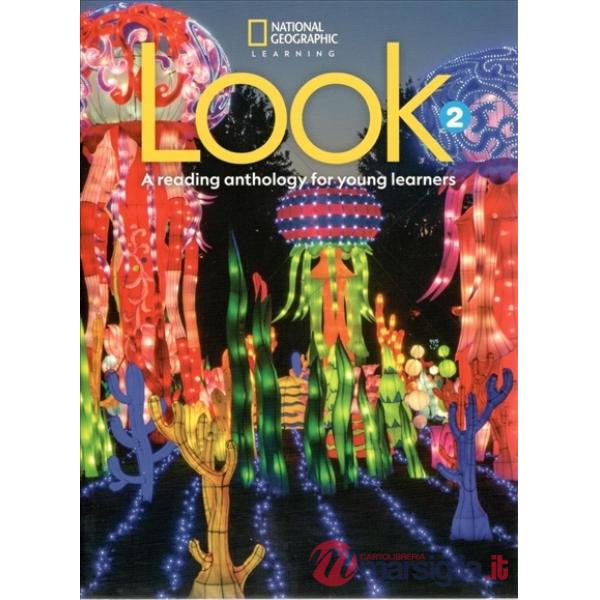 LOOK 2 ONLINE PRACTICE ACCESS CODE