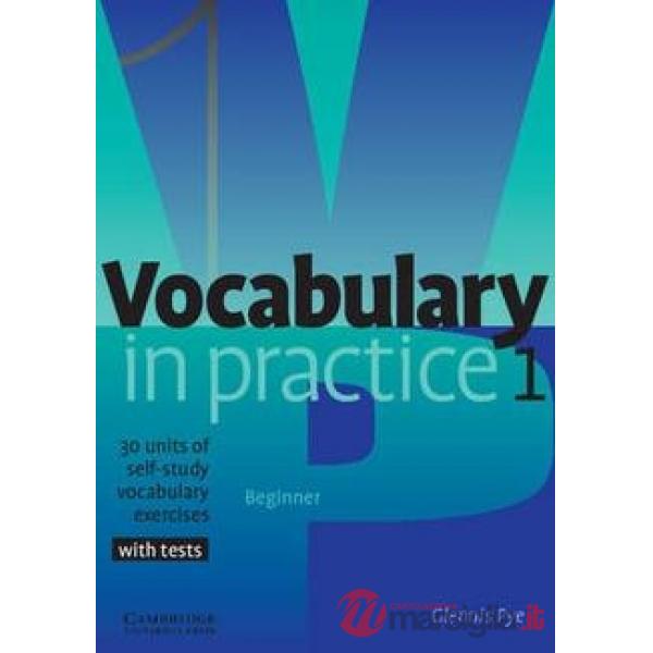 VOCABULARY IN PRACTICE 1