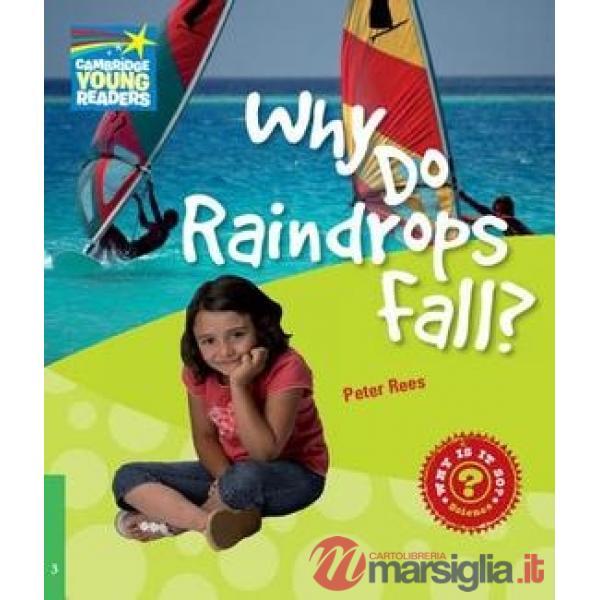 FACTBOOK 3 WHY DO RAINDROPS FALL?