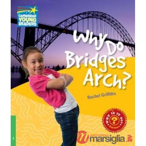 FACTBOOK 3 WHY DO BRIDGES ARCH?