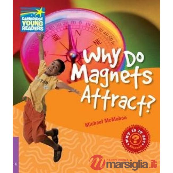 FACTBOOK 4 WHY DO MAGNETS ATTRACT