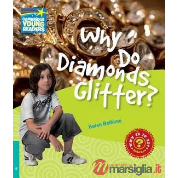 FACTBOOK 5 WHY DO DIAMONDS GLITTER?