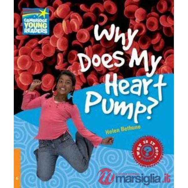 FACTBOOK 6 WHY DOES MY HEART PUMP?