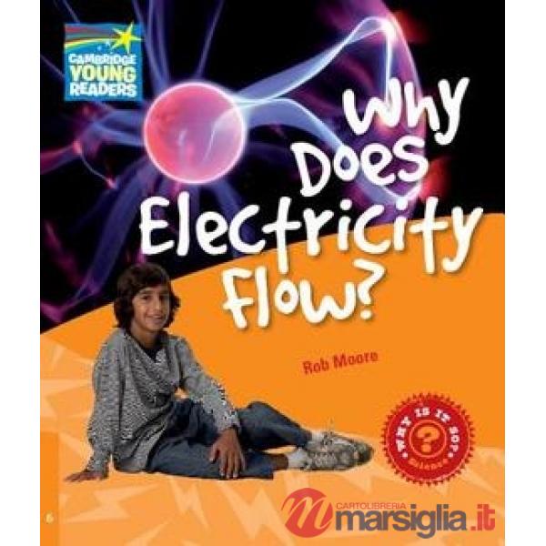 FACTBOOK 6 WHY DOES ELECTRICITY FLOW?
