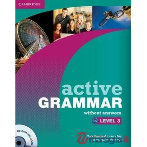 ACTIVE GRAMMAR LEV 3 W/O ANSW AND CD - ROM