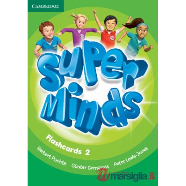 SUPER MINDS 2 FLASHCARDS