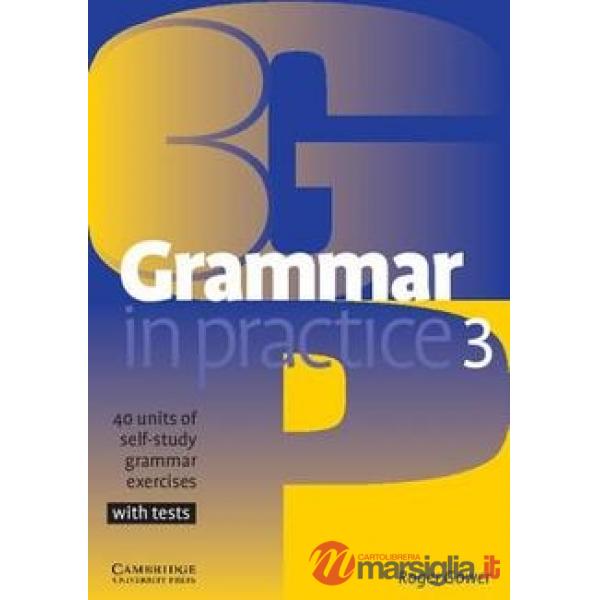 GRAMMAR IN PRACTICE 3