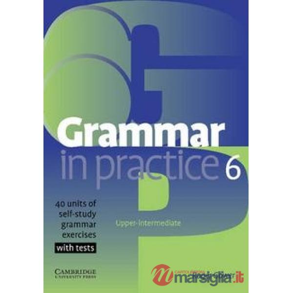 GRAMMAR IN PRACTICE 6