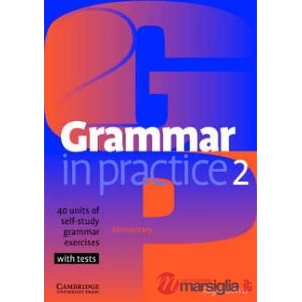 GRAMMAR IN PRACTICE 2