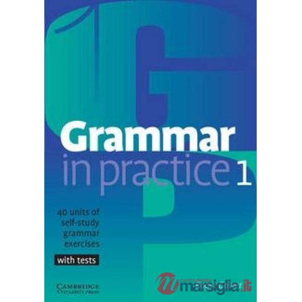 GRAMMAR IN PRACTICE 1