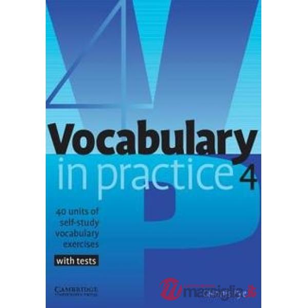 VOCABULARY IN PRACTICE 4