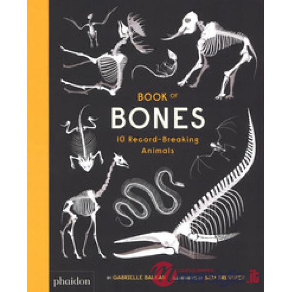 Book of bones. Ediz. a colori