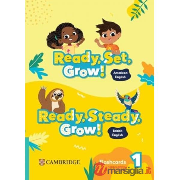 READY STEADY GROW! FLASHCARDS 1