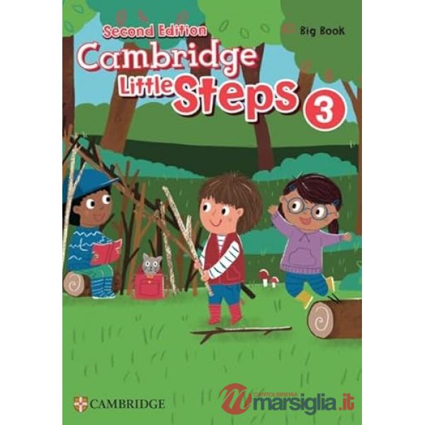 CAMBRIDGE LITTLE STEPS 2ED BIG BOOK 3
