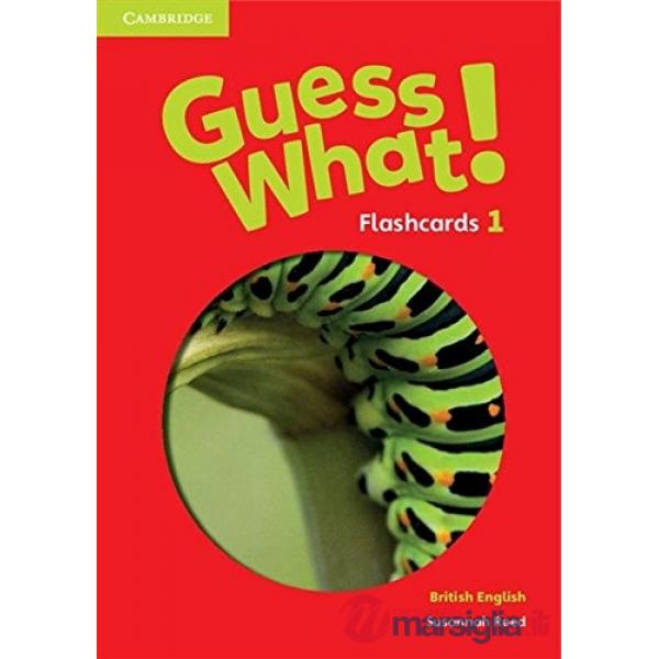 GUESS WHAT FLASHCARDS 1