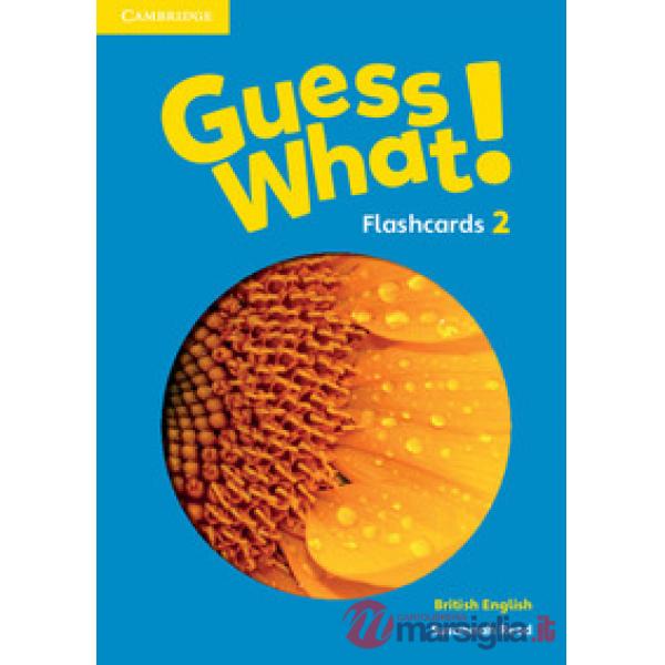 GUESS WHAT FLASHCARDS 2
