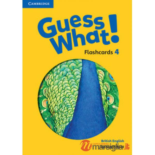 GUESS WHAT FLASHCARDS 4