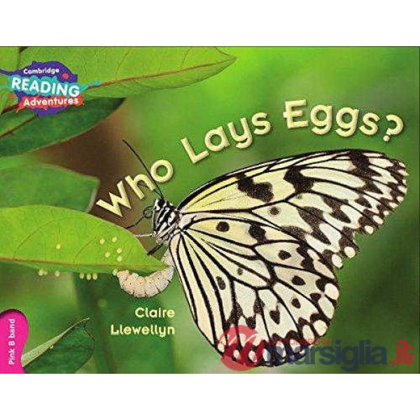 WHO LAYS EGGS