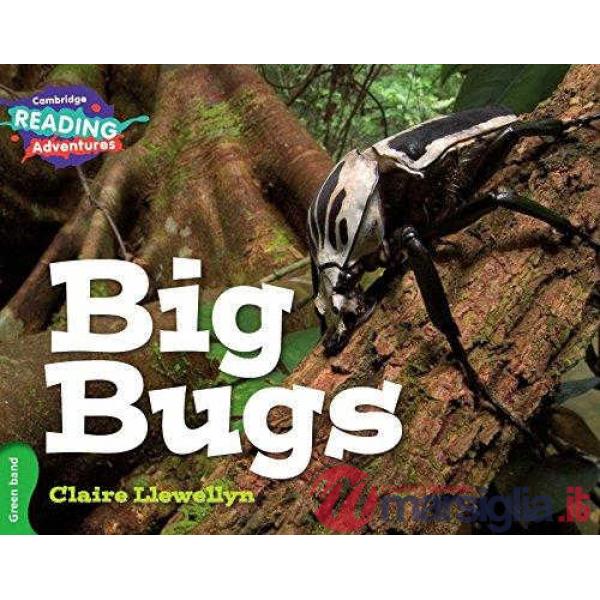 BIG BUGS