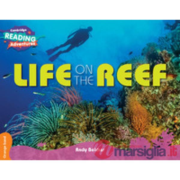 LIFE ON THE REEF