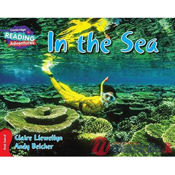 IN THE SEA