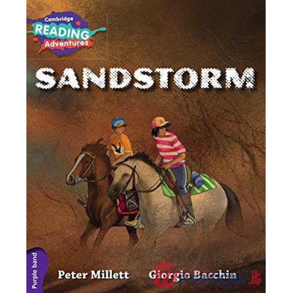 SANDSTORM