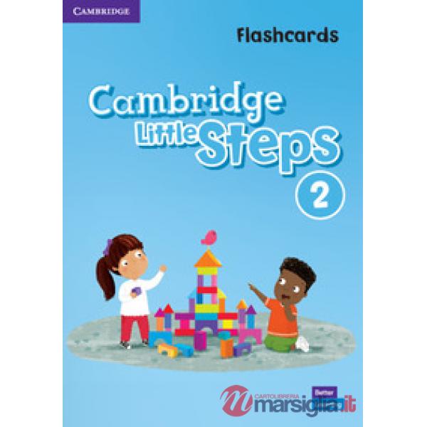 CAMBRIDGE LITTLE STEPS FLASHCARDS 2
