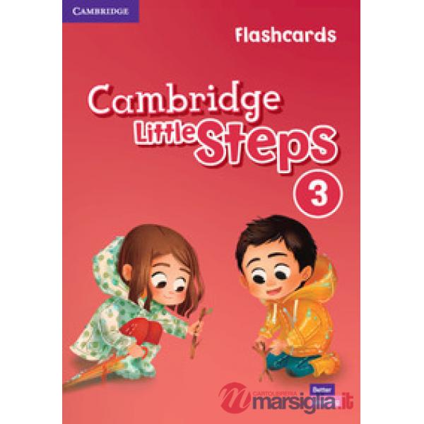 CAMBRIDGE LITTLE STEPS FLASHCARDS 3