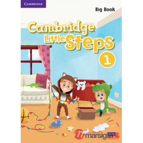 CAMBRIDGE LITTLE STEPS BIG BOOK 1