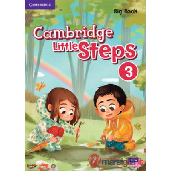 CAMBRIDGE LITTLE STEPS BIG BOOK 3