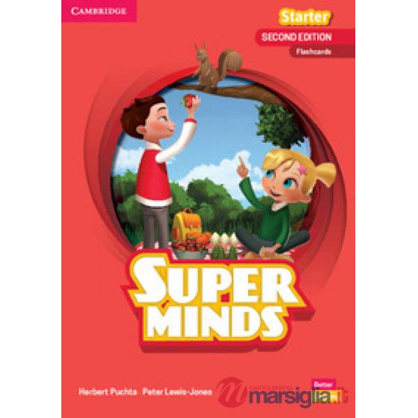 SUPER MINDS 2ED FLASHCARDS STARTER