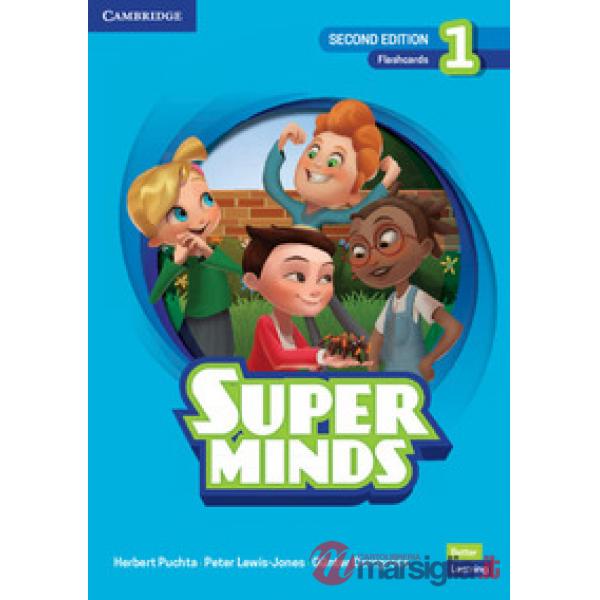 SUPER MINDS 2ED FLASHCARDS 1