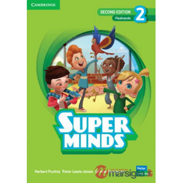 SUPER MINDS 2ED FLASHCARDS 2