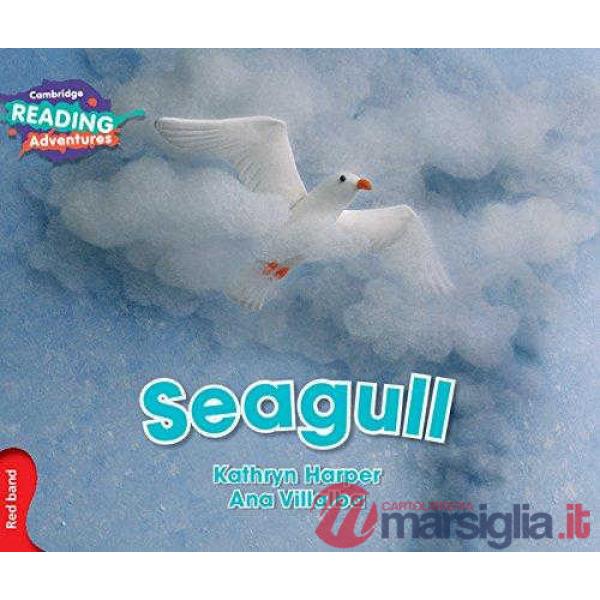 SEAGULL