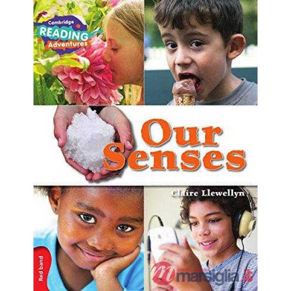 OUR SENSES