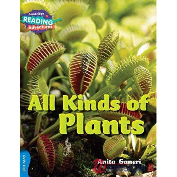 ALL KINDS OF PLANTS