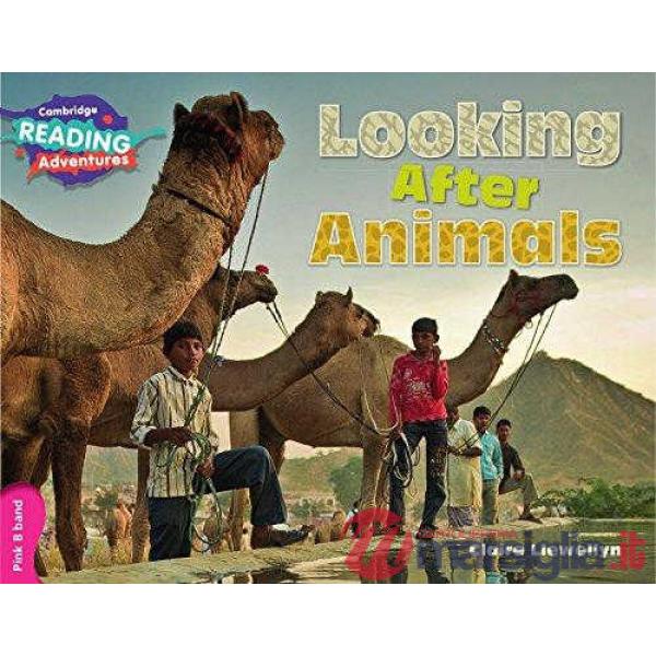 LOOKING AFTER ANIMALS