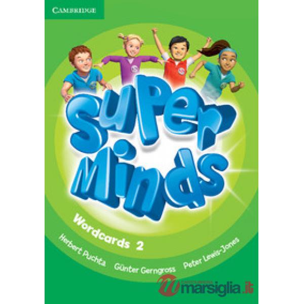SUPER MINDS 2 WORDCARDS