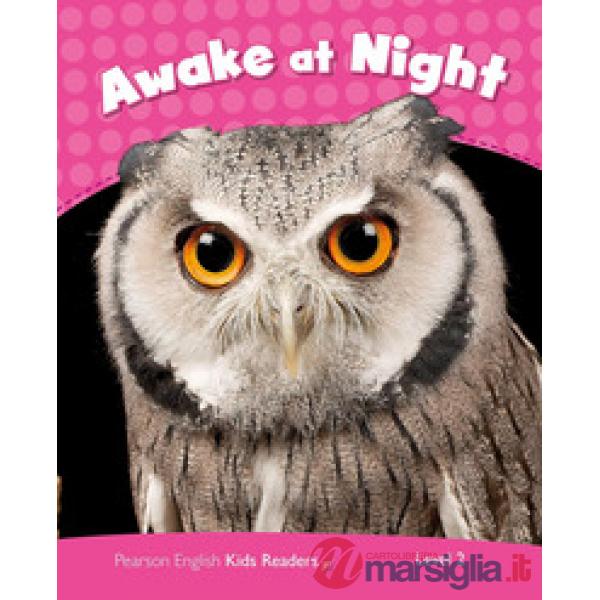 PCLIL2: AWAKE AT NIGHT