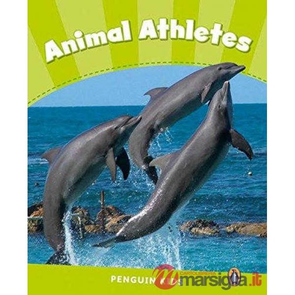 PCLIL4: ANIMAL ATHLETES