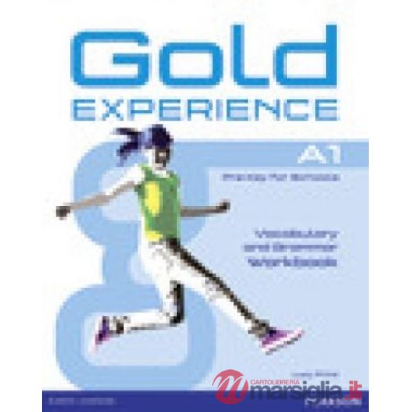 GOLD EXP A1 GRAMMAR + VOCABULARY WB