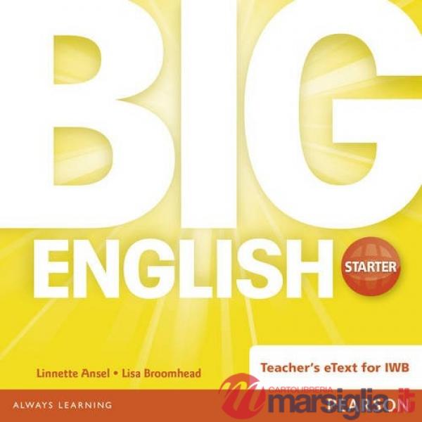BIG ENGLISH STARTER TEACHERS ETEXT CD - ROM