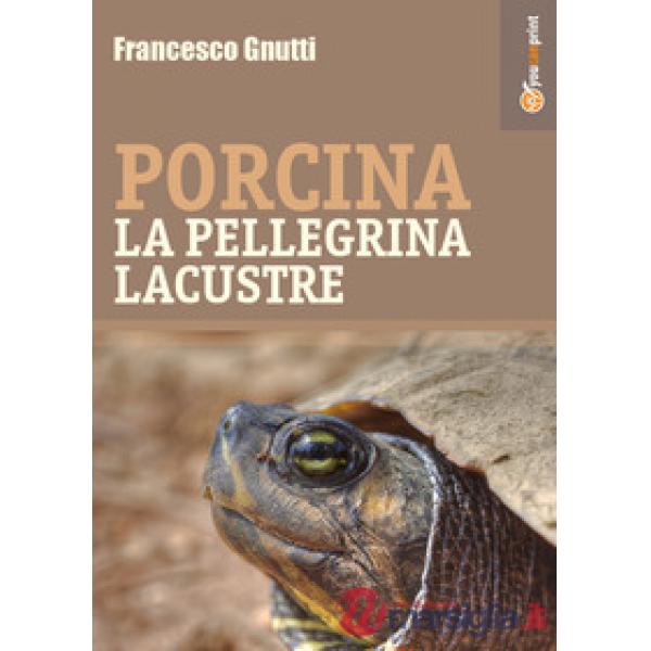 Porcina la pellegrina lacustre